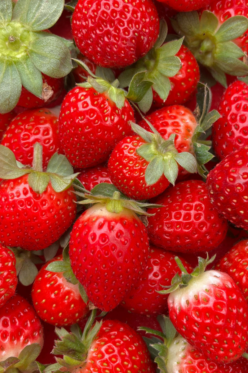Produits frais premium