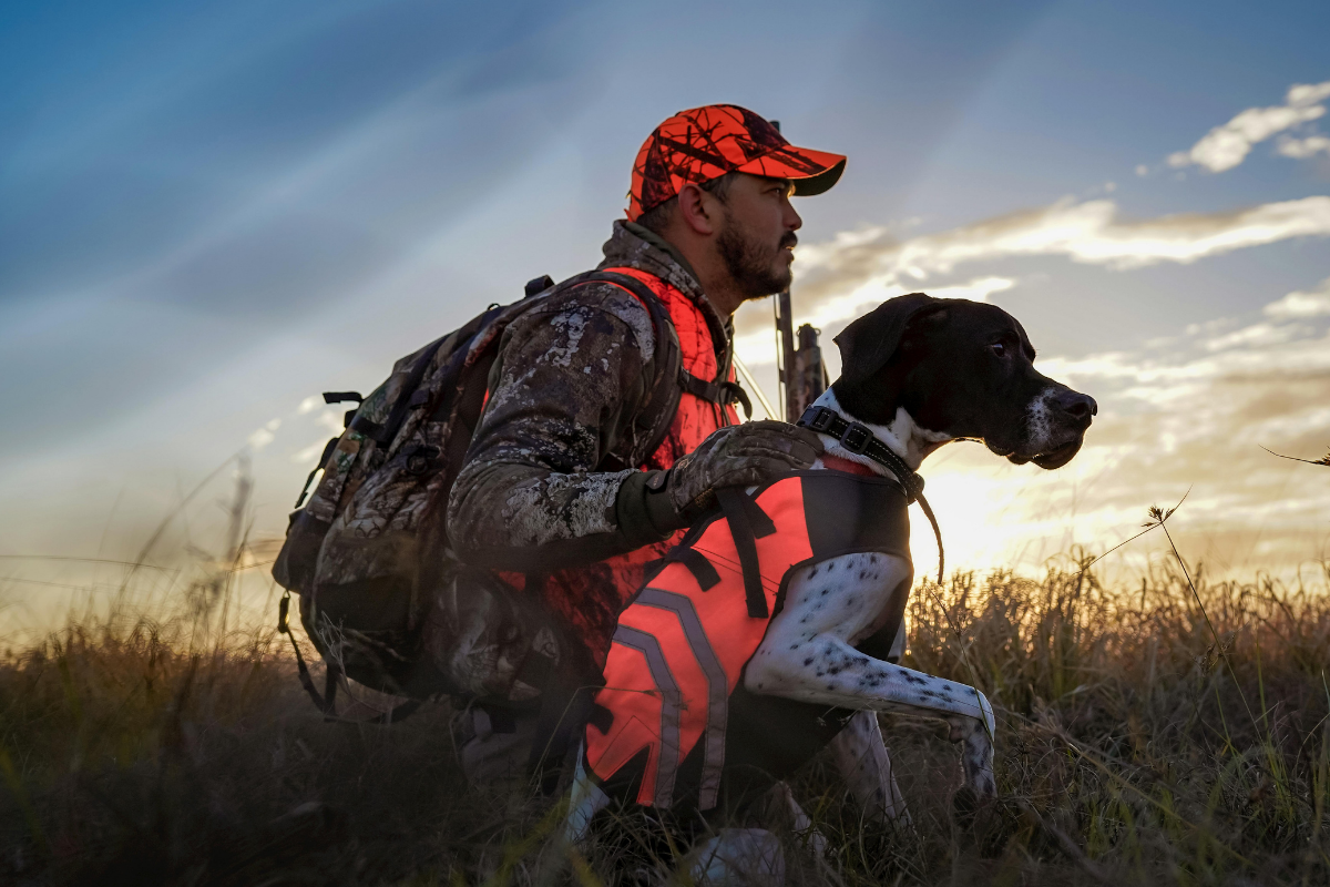 Gilet de chasse haut de gamme pour chien
